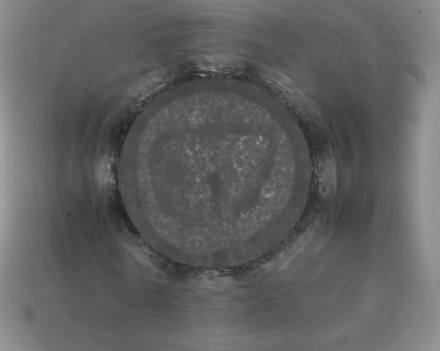 X0000113850770200910081645