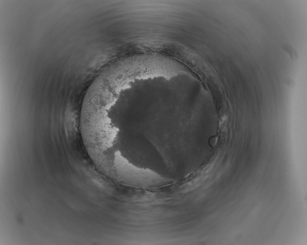 X0000113850772200910081645