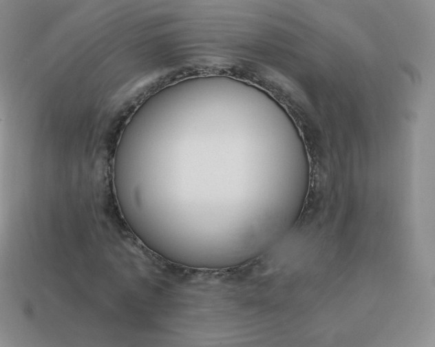 X0000113850773200910081645