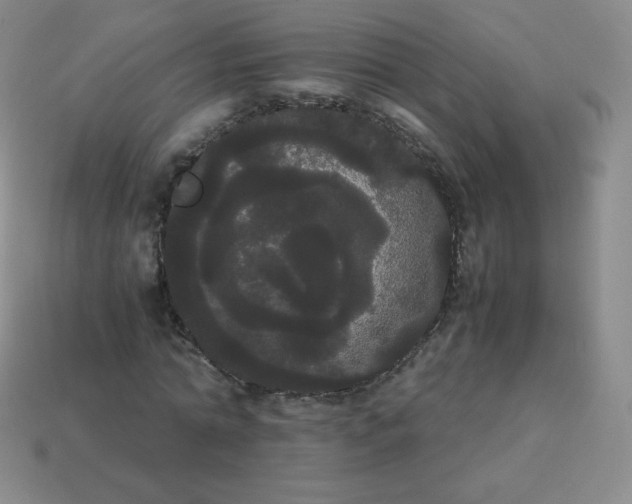 X0000113850774200910081645