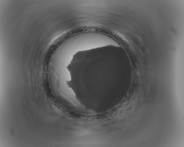 X0000113850775200910081645