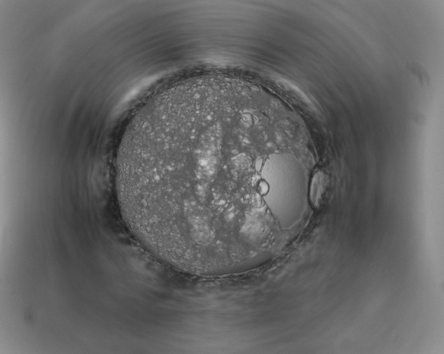 X0000113850776200910081645