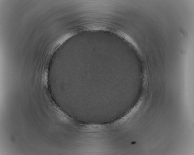 X0000113850777200910081645