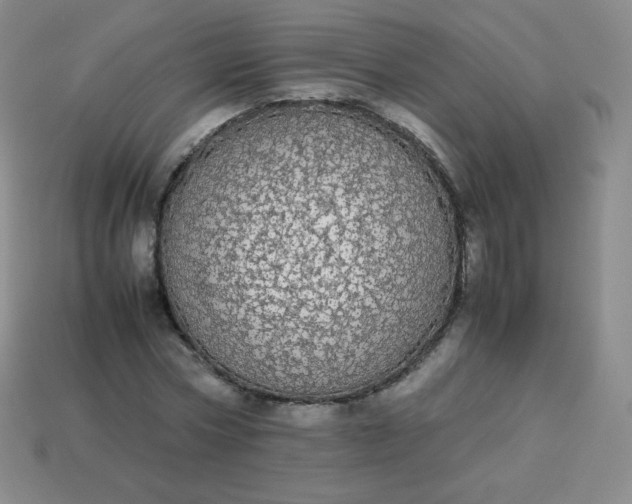 X0000113850778200910081645