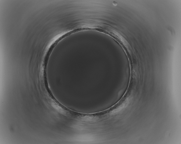 X0000113850779200910081645