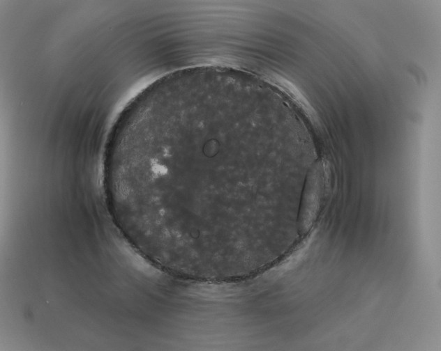 X0000113850780200910081645