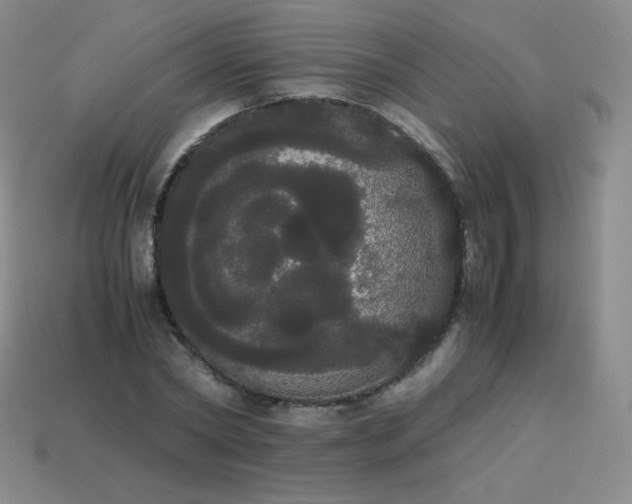 X0000113850782200910081645