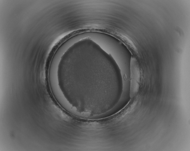 X0000113850784200910081645