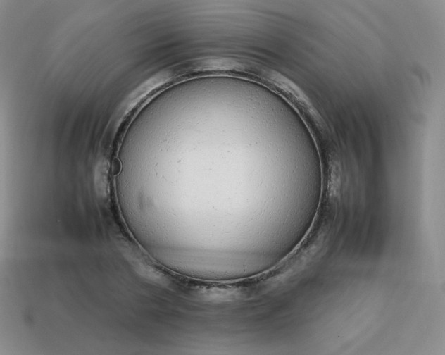 X0000113850786200910081645