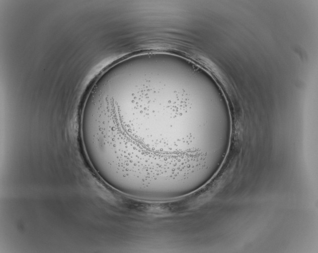 X0000113850787200910081645