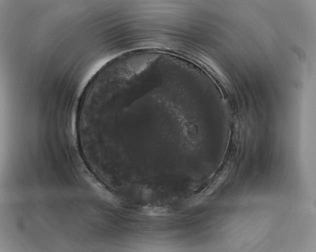 X0000113850788200910081645