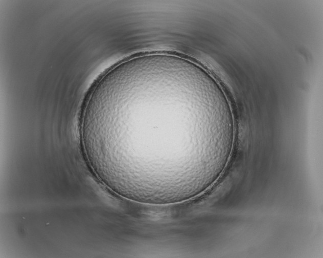 X0000113850789200910081645