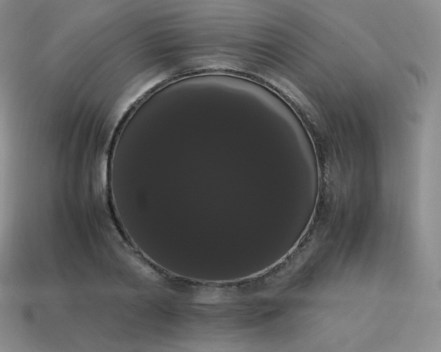 X0000113850790200910081645