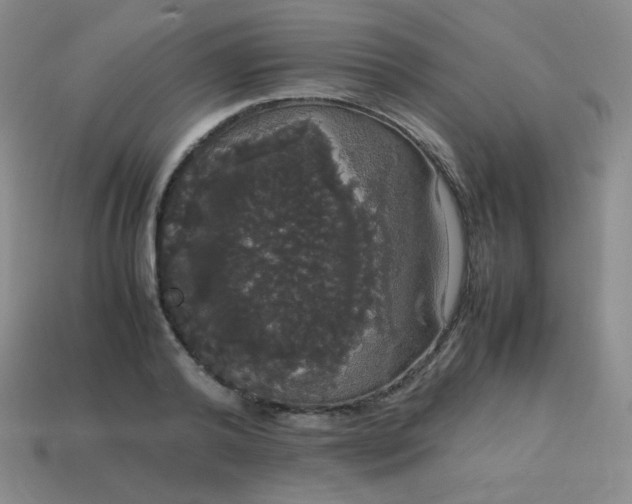 X0000113850792200910081645