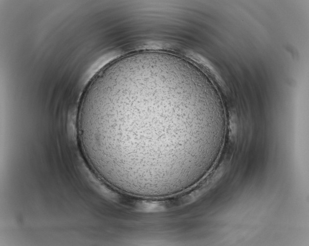 X0000113850794200910081645