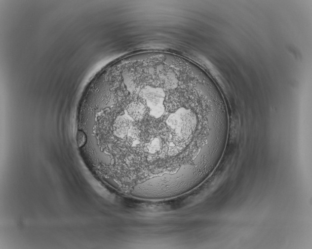 X0000113850795200910081645