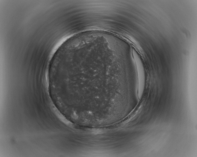 X0000113850796200910081645