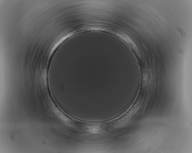 X0000113850798200910081645