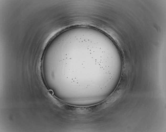 X0000113850799200910081645