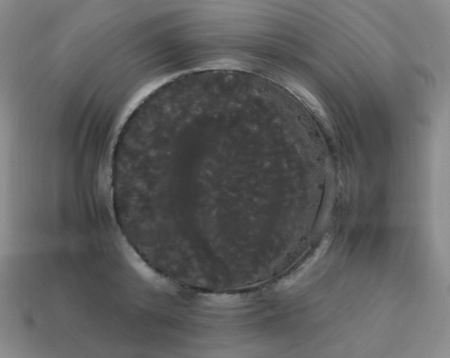 X0000113850800200910081645