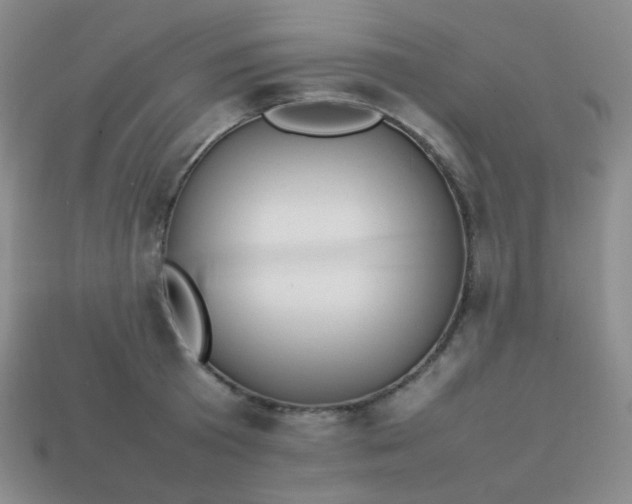 X0000113850801200910081644