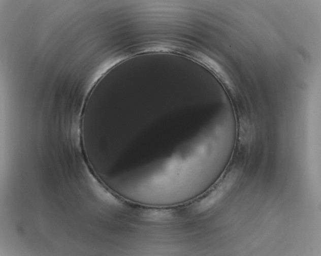 X0000113850802200910081644