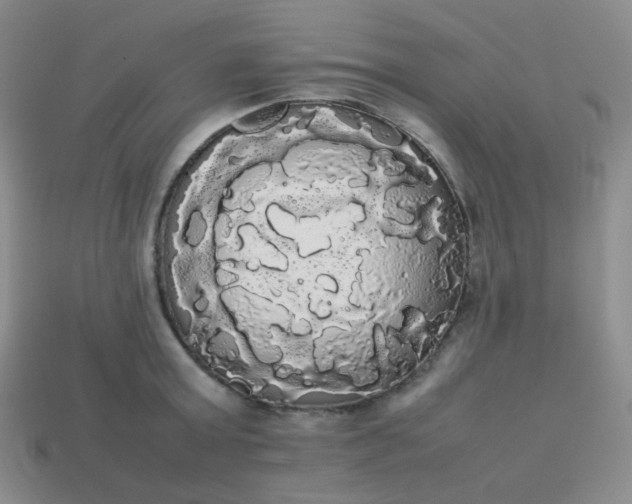 X0000113850803200910081644