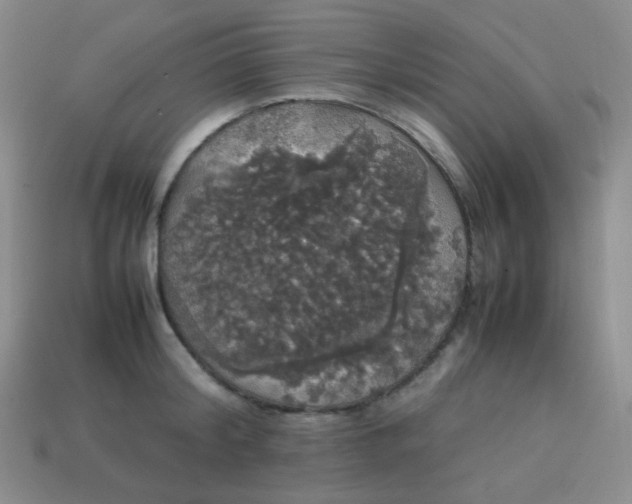 X0000113850804200910081644