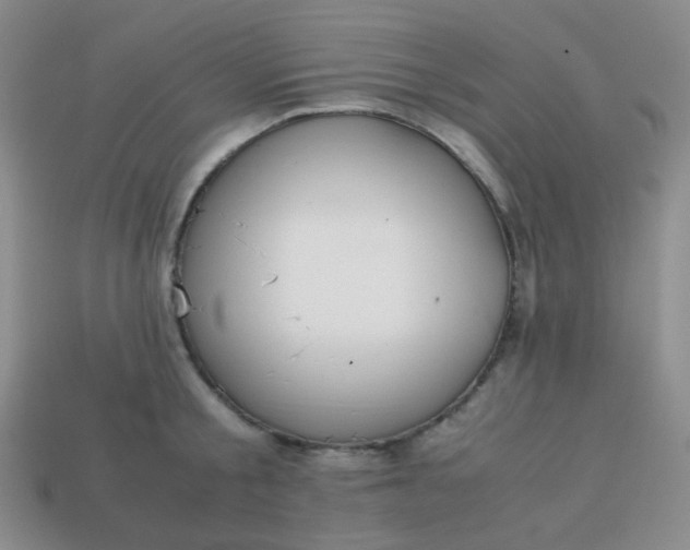 X0000113850805200910081644