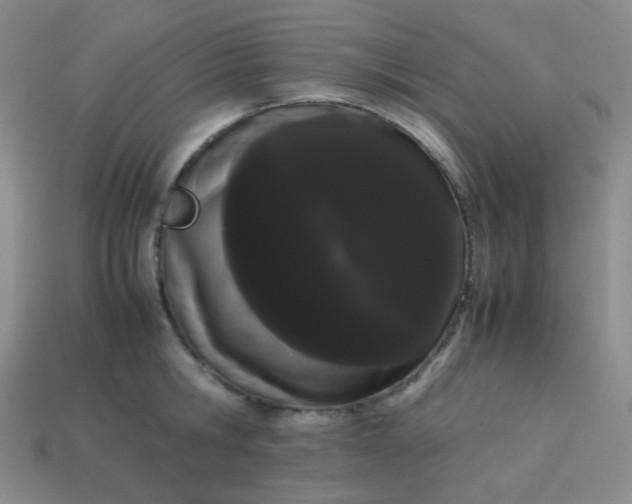 X0000113850806200910081644