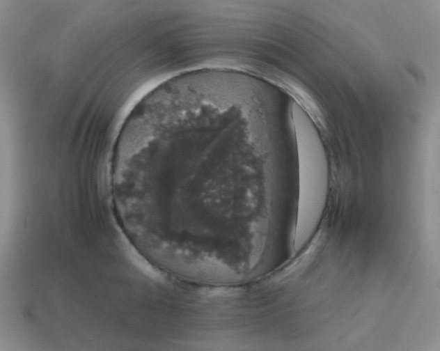 X0000113850808200910081644