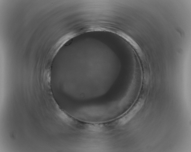 X0000113850809200910081644