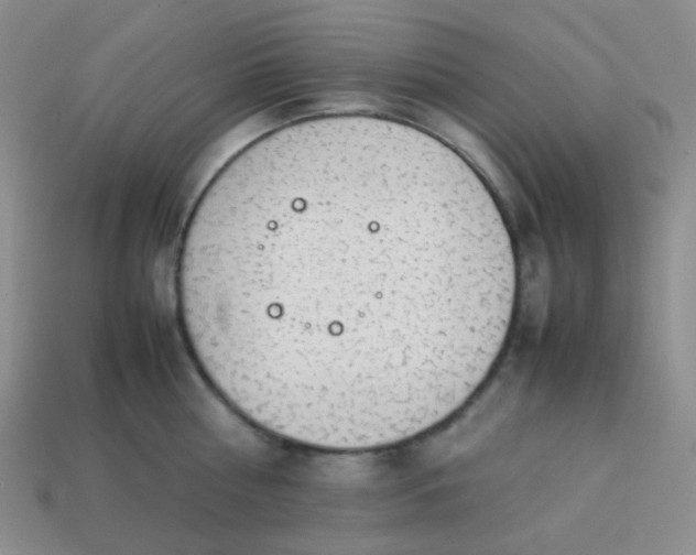 X0000113850810200910081644