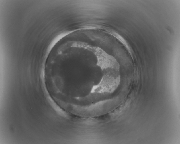 X0000113850811200910081644