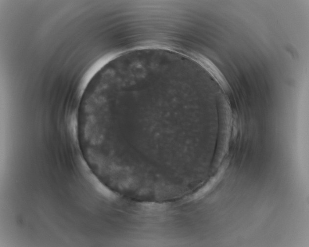 X0000113850812200910081644