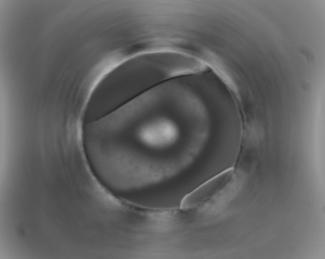 X0000113850813200910081644