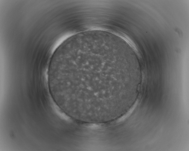 X0000113850814200910081644