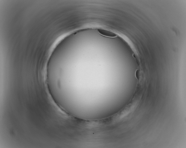 X0000113850815200910081644