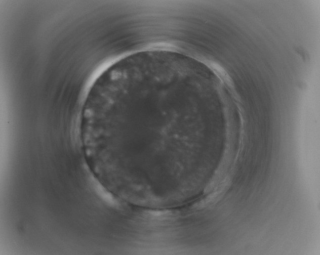 X0000113850816200910081644