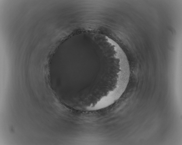 X0000113850817200910081644