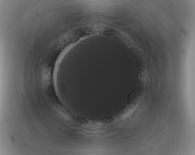 X0000113850818200910081644