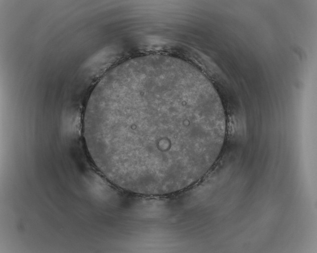 X0000113850820200910081644