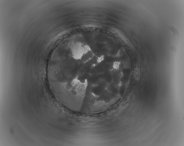 X0000113850821200910081644