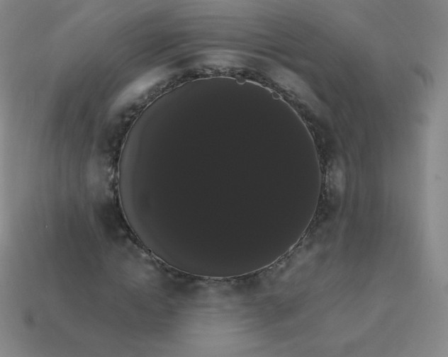 X0000113850822200910081644