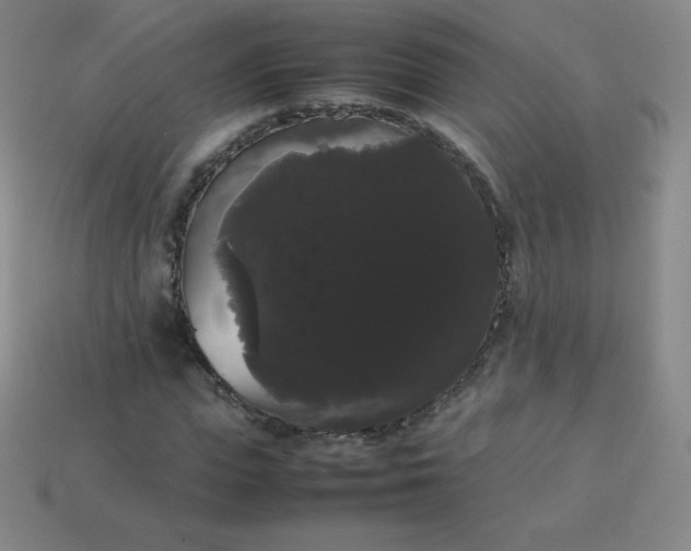 X0000113850823200910081644