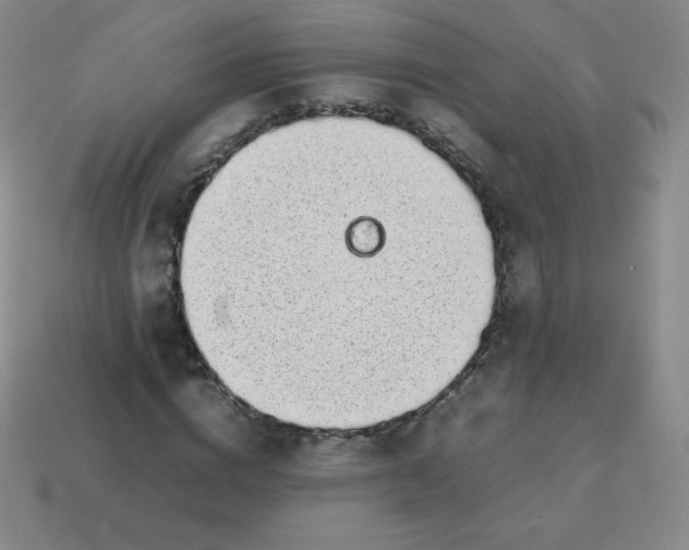 X0000113850824200910081644