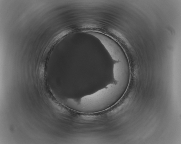 X0000113850825200910081644