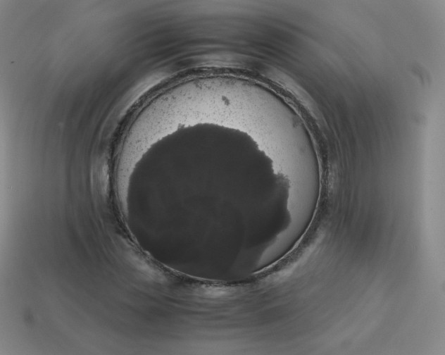 X0000113850829200910081644