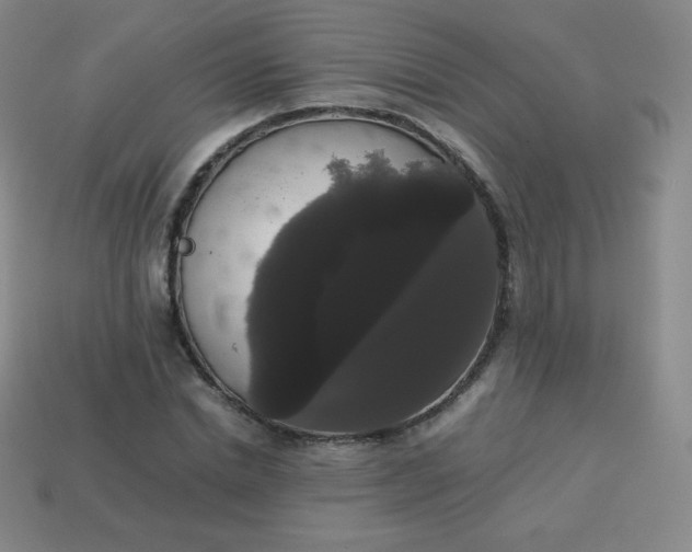 X0000113850830200910081644