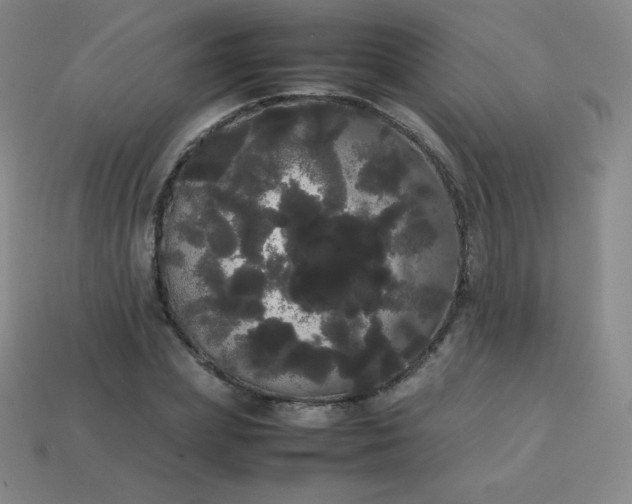 X0000113850831200910081644